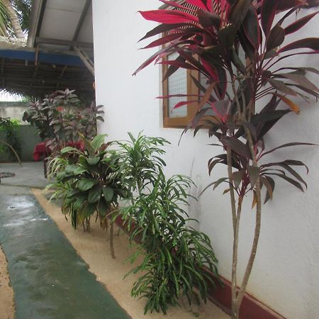 Julie Guest House Tangalle Exteriör bild