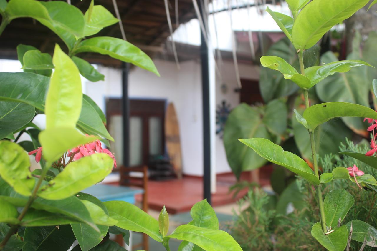 Julie Guest House Tangalle Exteriör bild