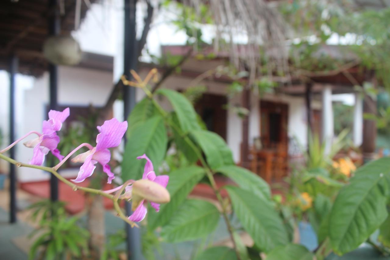 Julie Guest House Tangalle Exteriör bild