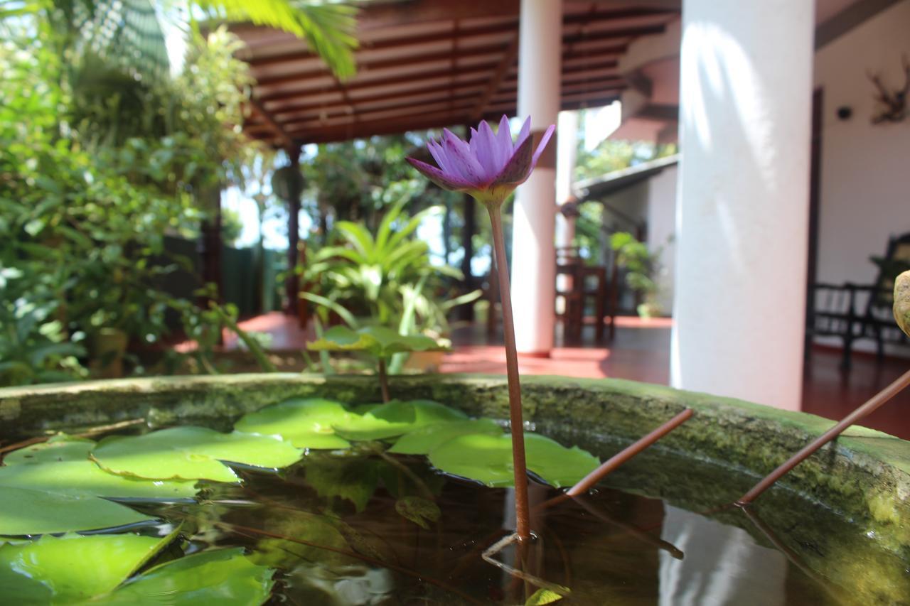 Julie Guest House Tangalle Exteriör bild