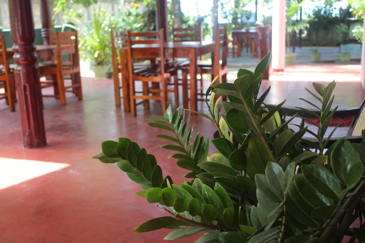 Julie Guest House Tangalle Exteriör bild