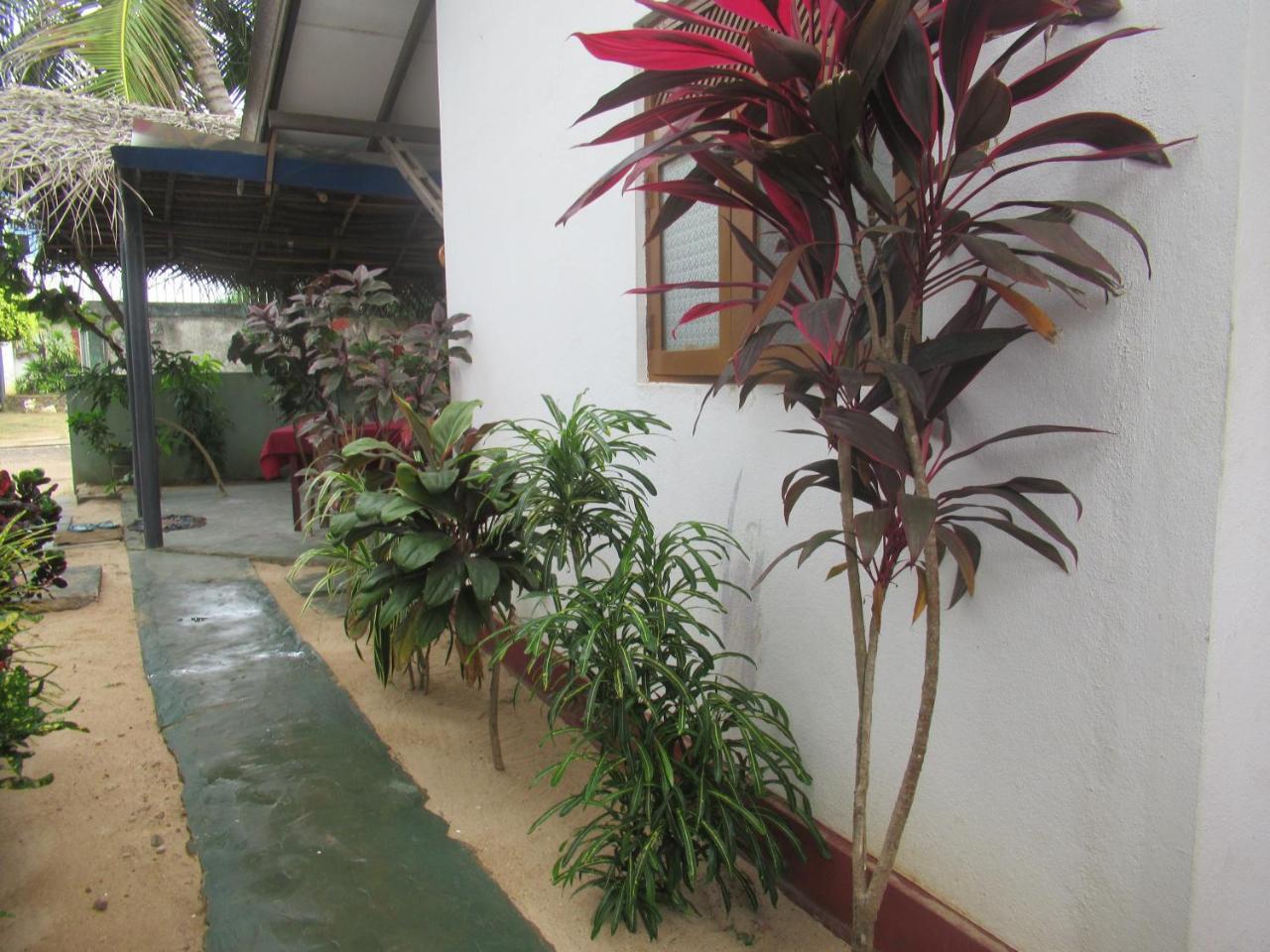 Julie Guest House Tangalle Exteriör bild