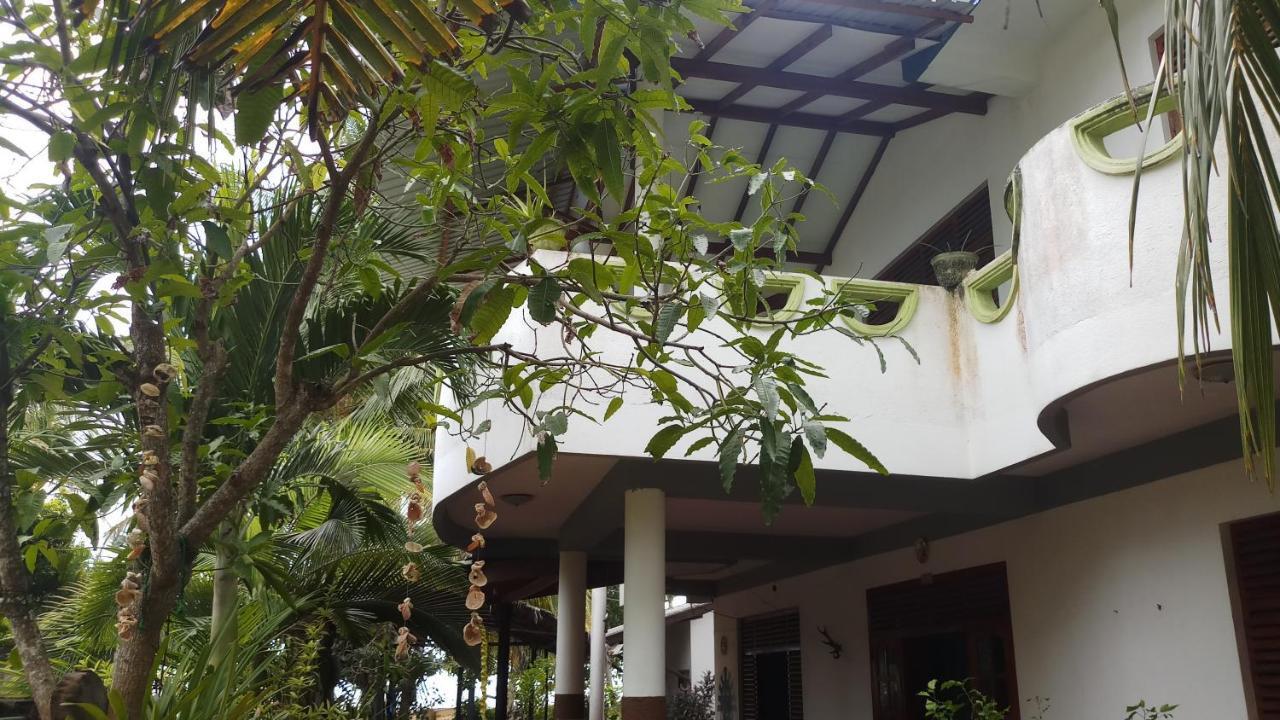 Julie Guest House Tangalle Exteriör bild