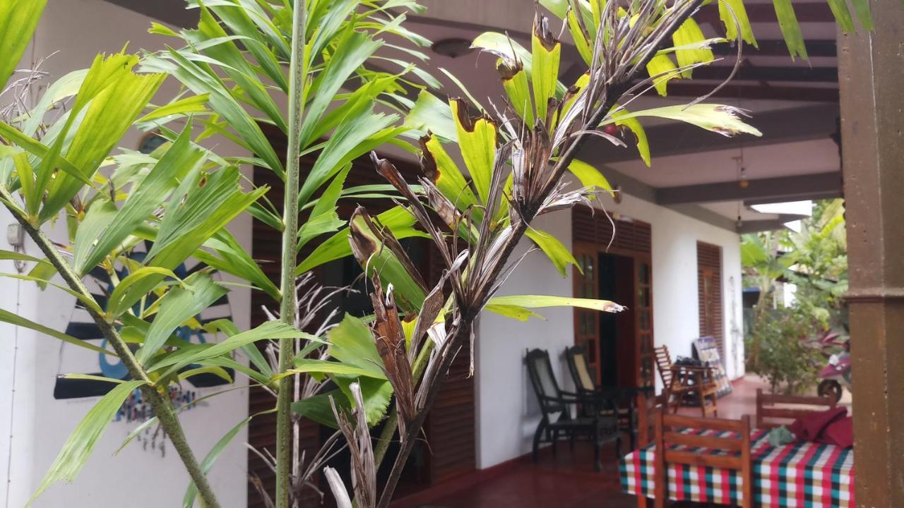 Julie Guest House Tangalle Exteriör bild